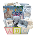 ABC Baby Boy Basket-Cherished Gift Baskets