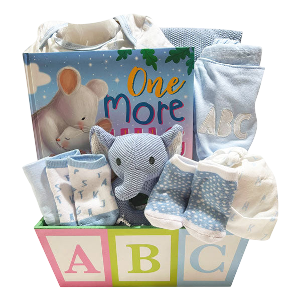ABC Baby Boy Basket-Cherished Gift Baskets