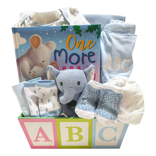ABC Baby Boy Basket-Cherished Gift Baskets