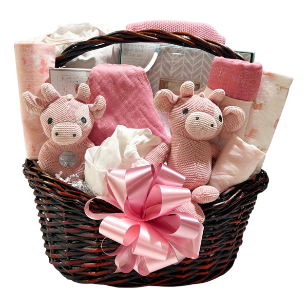 Girl Baby Gift Basket Bundle-Cherished Gift Baskets