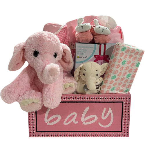 Baby Girl Collection-Cherished Gift Baskets