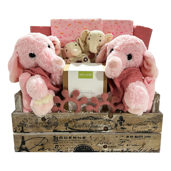 Two Times The Fun-Girl-Cherished Gift Baskets