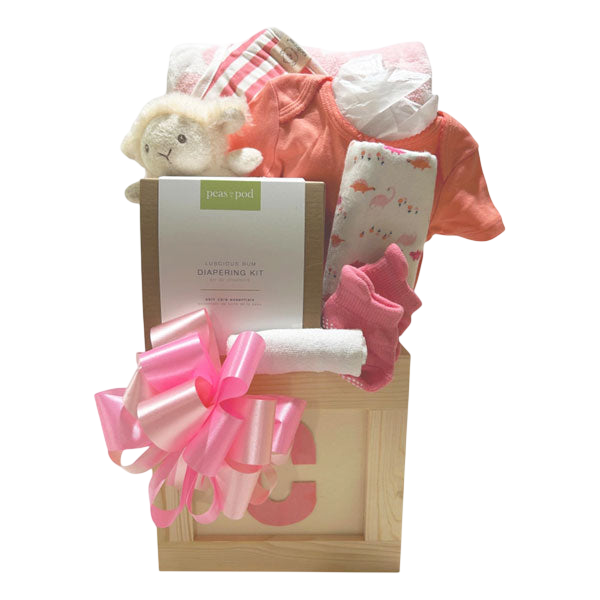 Hello Baby Girl-Cherished Gift Baskets