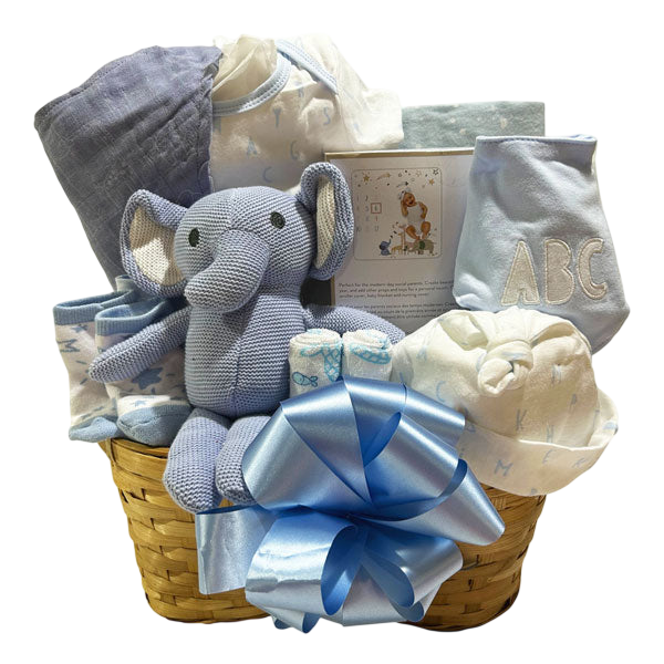 Newborn Baby Boy-Cherished Gift Baskets