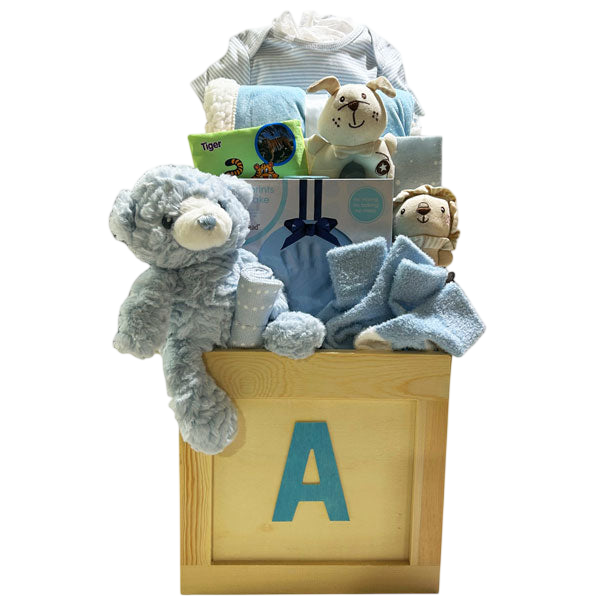 Toy Box-Boy-Cherished Gift Baskets
