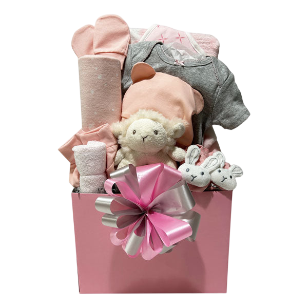 All For Baby Girl-Cherished Gift Baskets