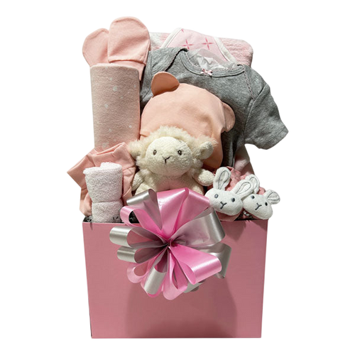 All For Baby Girl-Cherished Gift Baskets