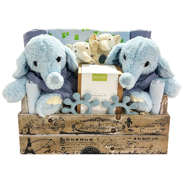 Two Times The Fun-Boy-Cherished Gift Baskets