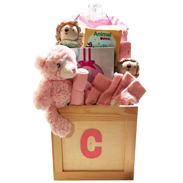 Toy Box-Girl-Cherished Gift Baskets