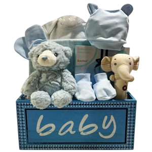 Boy Oh Boy-Cherished Gift Baskets