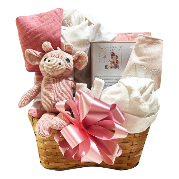 Newborn Baby Girl-Cherished Gift Baskets