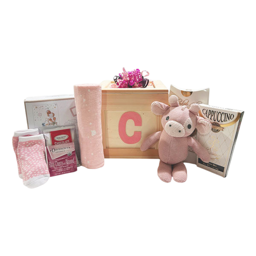 Baby Girl Things-Cherished Gift Baskets