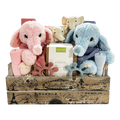 Two Times The Fun-Boy/Girl-Cherished Gift Baskets