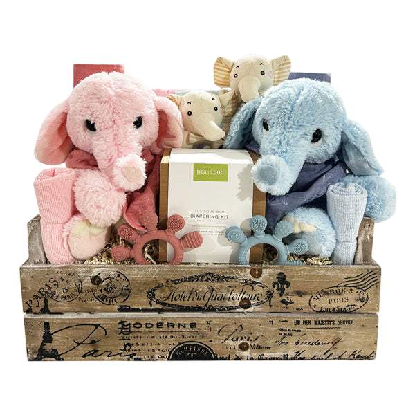 Two Times The Fun-Boy/Girl-Cherished Gift Baskets